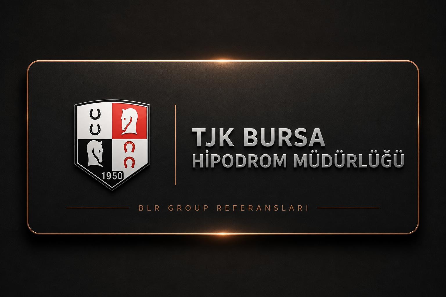 BLR Group Referans 8